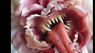 Flower Granny by satyriasiss